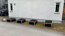Odlingslådor